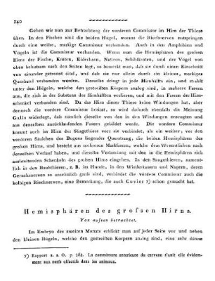 Hemisphären des grossen Hirns.