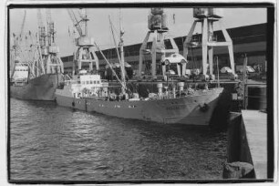 Roseneck (1957)