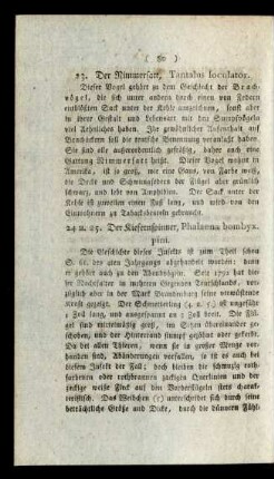 23. Der Nimmersatt, Tantalus loculator.