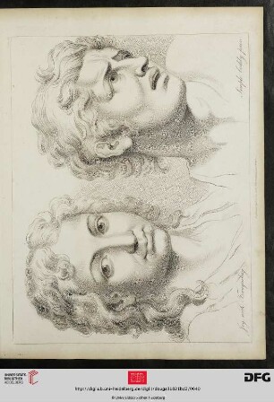 Plate 37 Joy with Tranquility. Simple bodily pain. [Physiogn. (nach Charles Le Brun)]
