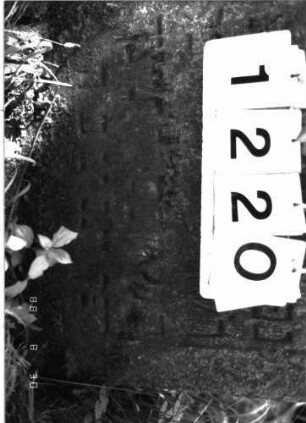 Grabstein 1220 (Index: 100098533) Maße HxBxT: 100x60x9 cm: Grabstein 1220 (Detailaufnahme)