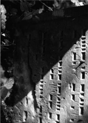 Grabstein 432 (Index: 99803702) Material: Sandstein Zustand: unten abgebroch/Textverl/eingesunk Maße HxBxT: 0x0x0 cm Beschreibung: St. m. eingezog. Rundbogen u. profiliert. Rand, Mittel-u. Seitenakroterien Symbolik: Mittel-u. Seitenakroterien Besonderheit: Endreim: Grabstein 432 (Nachholaufnahme 2)