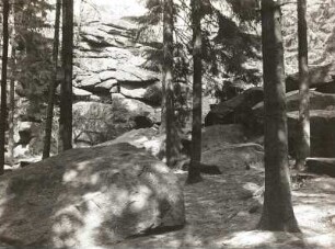 Lausitzer Bergland. Sibyllenstein (oder Hochstein) südlich Elstra (Oberlausitz). Durchblick zu den Gipfelklippen