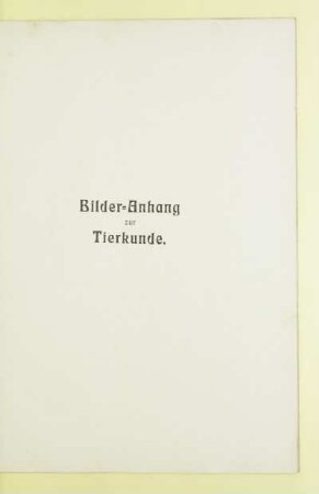 Bilder-Anhang zur Tierkunde