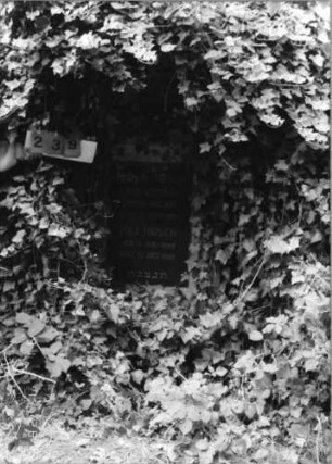 Grabstein 239 [Hahn S. 66 Grab-Nr. 398]