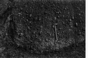 Gneisgestein : Grobporphyrartiger Gneis mit Schiefereinschlüssen.