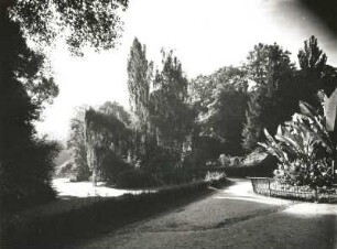 Riesa. Stadtpark. Rondell gegen Jahnaaue