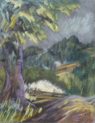 Blick a.Tollstein