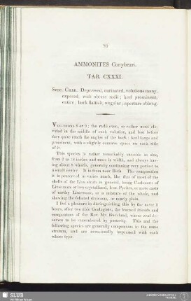 Ammonites Conybeari. Tab. CXXXI