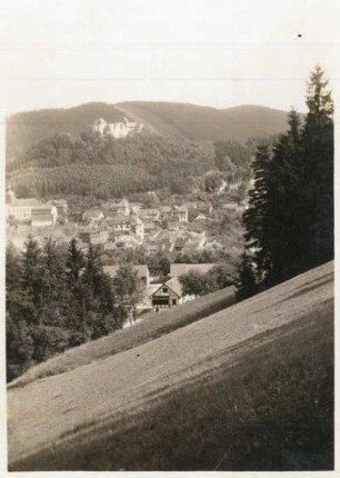 Leutenberg : Leutenberg, Blick über den Ort zur Friedensburg