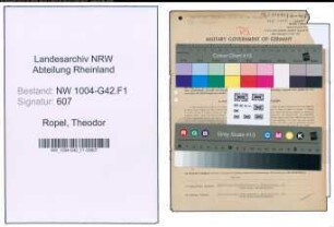 Entnazifizierung Theodor Ropel , geb. 12.12.1896 (Stangenzieher)