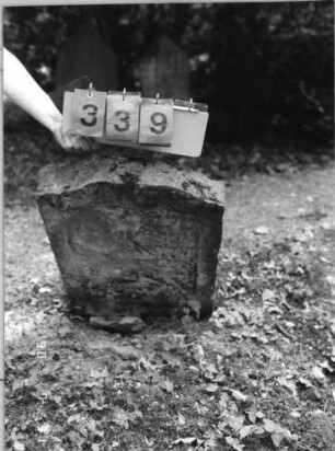 Grabstein 339 (Index: 99791317) Zustand: fast vollständig verwittert Maße HxBxT: 73x47x9 cm: Grabstein 339