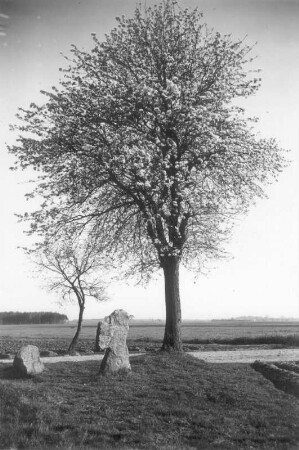 Kreuzstein und Steinkreuz : Milkel, Kreuzstein und Steinkreuz (Tatzenkreuz) an einer Weggabel nordöstlich des Ortes