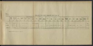 Belastung durch die Unfälle innerhalb der Zweiganstalt während des Jahres 1918.
