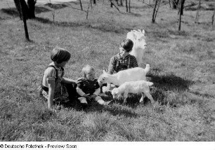 Drei Kinder mit Ziegen, im Gras sitzend