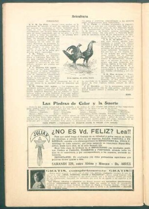 Avicultura : Consultas