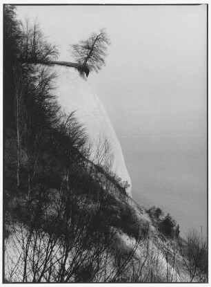Rügen. Küste mit Kreidefelsen