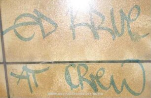 eD KRUe AT CRew