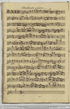 24. Anonymus, Andante, f-Moll
