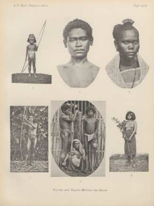 Tafel XIII. Negritos und Negrito-Mestizen von Luzon