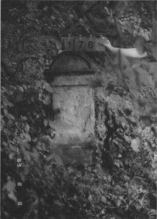 Grabstein 176 (Index: 99800149) Material: Sandstein Zustand: stark beschädigt, Schriftplatte oder Inschriftfeld fehlt Maße HxBxT: 103x41x20 cm Beschreibung: Stele, Abdeckplatte, Segmentbogenaufsatz, Schriftplatte (?) fehlt, Sockel Besonderheit: Kindergrab: Grabstein 176
