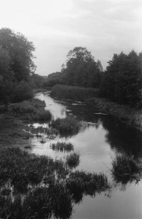 Die Donau : Die Donau bei Riedlingen