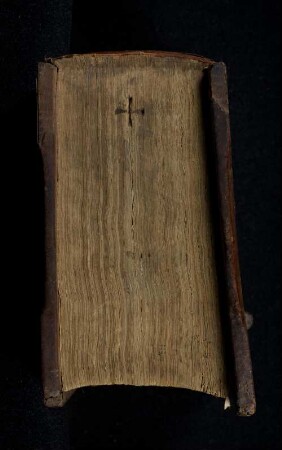 1: Scripta super quattuor libros Sententiarum
