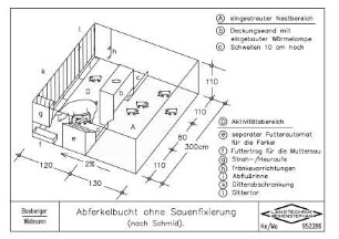 Abferkelbucht ohne Sauenfixierung (nach Schmid)