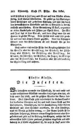 Fünfte Klasse. Die Insekten