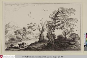 Landschaft mit windschiefen Bäumen und zwei Löwen
