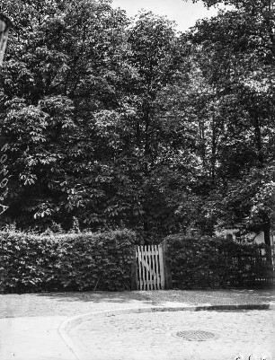 Gartentür : Blick über einen Platz auf eine Hecke mit Gartentür und großen Bäumen dahinter