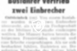 Busfahrer vertrieb zwei Einbrecher