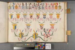 Proband: Plettenberg, Joseph Clemens Graf von; Vater: Plettenberg, Bernhard Wilhelm Graf von; Mutter: Westerholt, Anna Sophia Gräfin von: Westfalen, Hzgtm, Ritterschaft