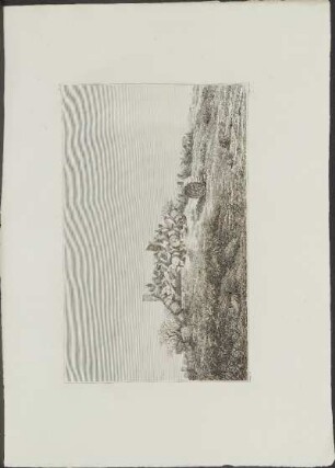 Pl. 30. Vue des ruines du temple R, ...