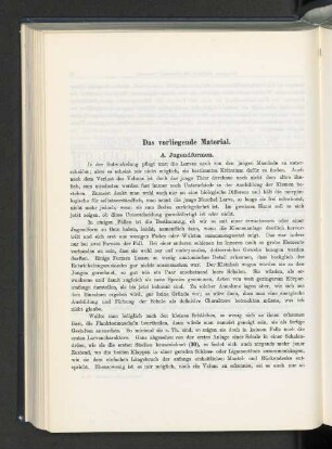 Das vorliegende Material.