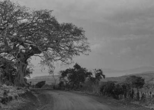Straße : Straße in der äthiopischen Provinz Sidama