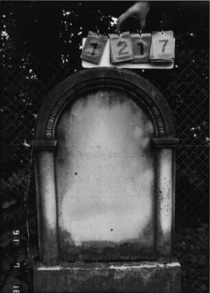 Grabstein 1217 [Hahn S. 249 Grab-Nr. 1913]