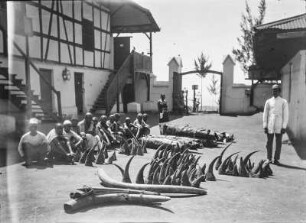 Moshi und Kilimandscharo : Die Station der Deutsch-Ostafrikanischen Gesellschaft (DOAG) in Moshi