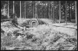 Grillenburg. Grillenburger Wald, Warnsdorfer Quelle