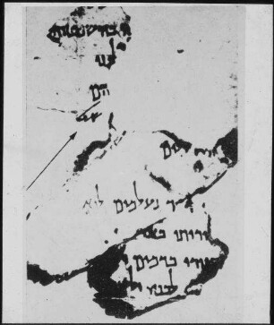 Ta'amire, Fragm. D. Loblieder [wohl Qumran-Funde]