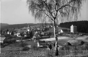 Lützenhardt: Gesamtansicht von Südost