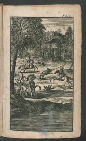 p. 310