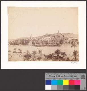 View on Ghardaia (Tagherdayt)