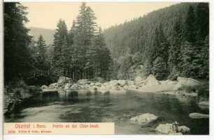 Okertal. Brücke an der Oker Insel