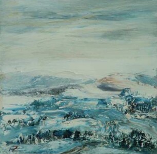 Vogtland im Winter