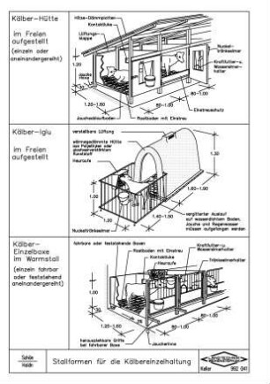Stallformen für die Kälbereinzelhaltung