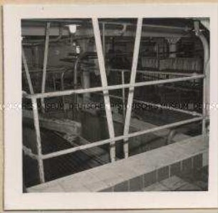 Ludwigshafen am Rhein, Pfälzische Preßhefen- & Spritfabrik