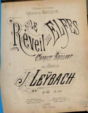 Le réveil des elfes : caprice brillant pour piano ; op. 135