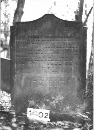 Grabstein 1302 (Index: 99900163) Material: Sandstein Zustand: angewittert Maße HxBxT: 109x72x8 cm Beschreibung: Stele mit eingezogenem Schulterbogenabschluss, im Bogenfeld Vogel auf Zweig, unter der Inschrift Blumen Symbolik: Vogel auf Zweig, Blumen: Grabstein 1302