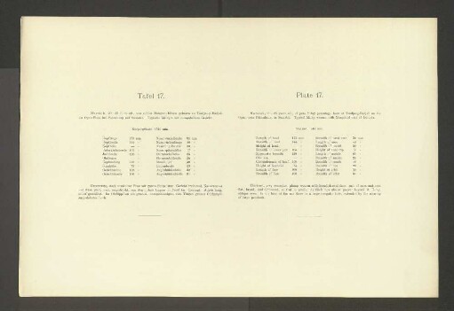 Tafel 17.